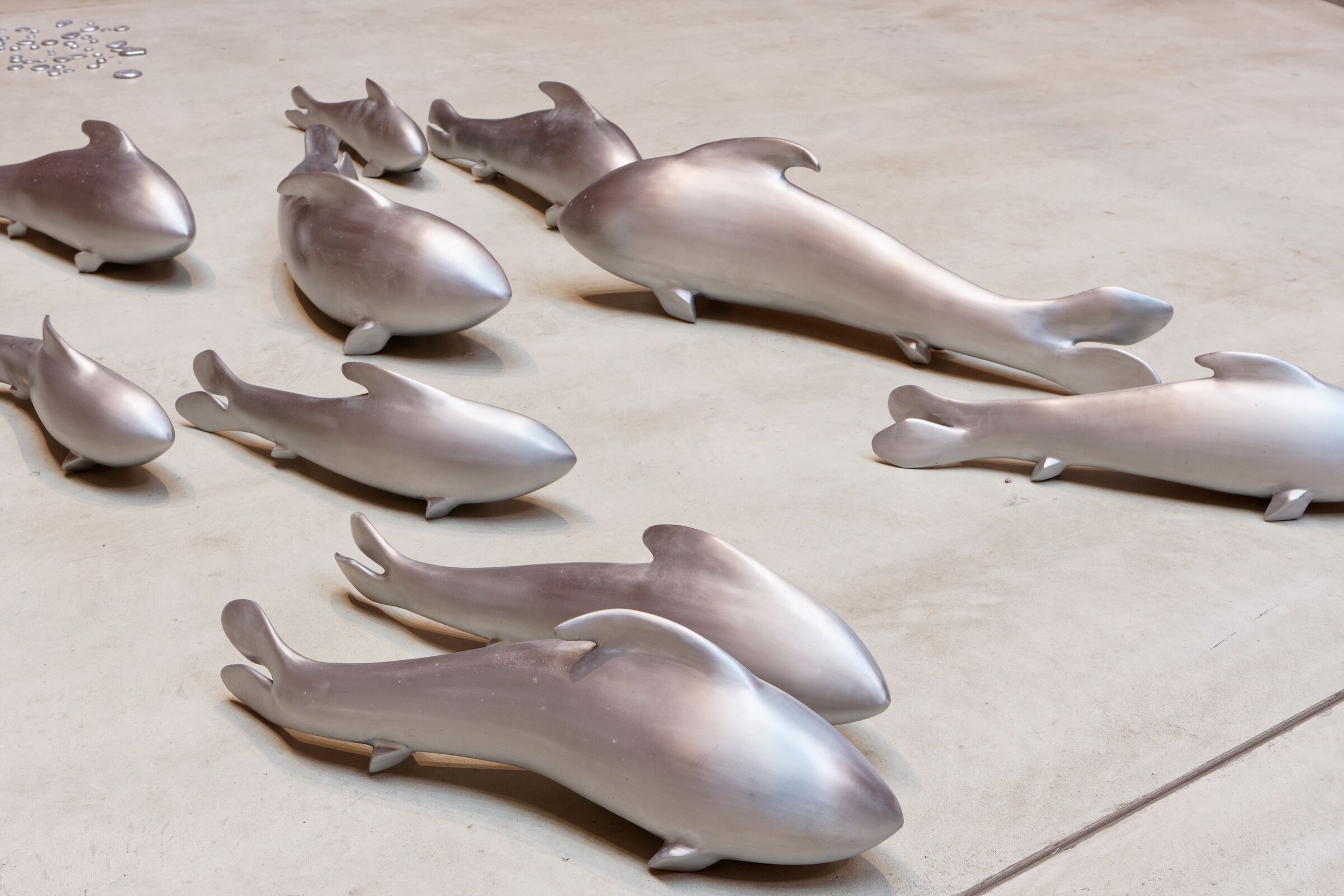 Künstlerische Arbeit, Alumninumfische