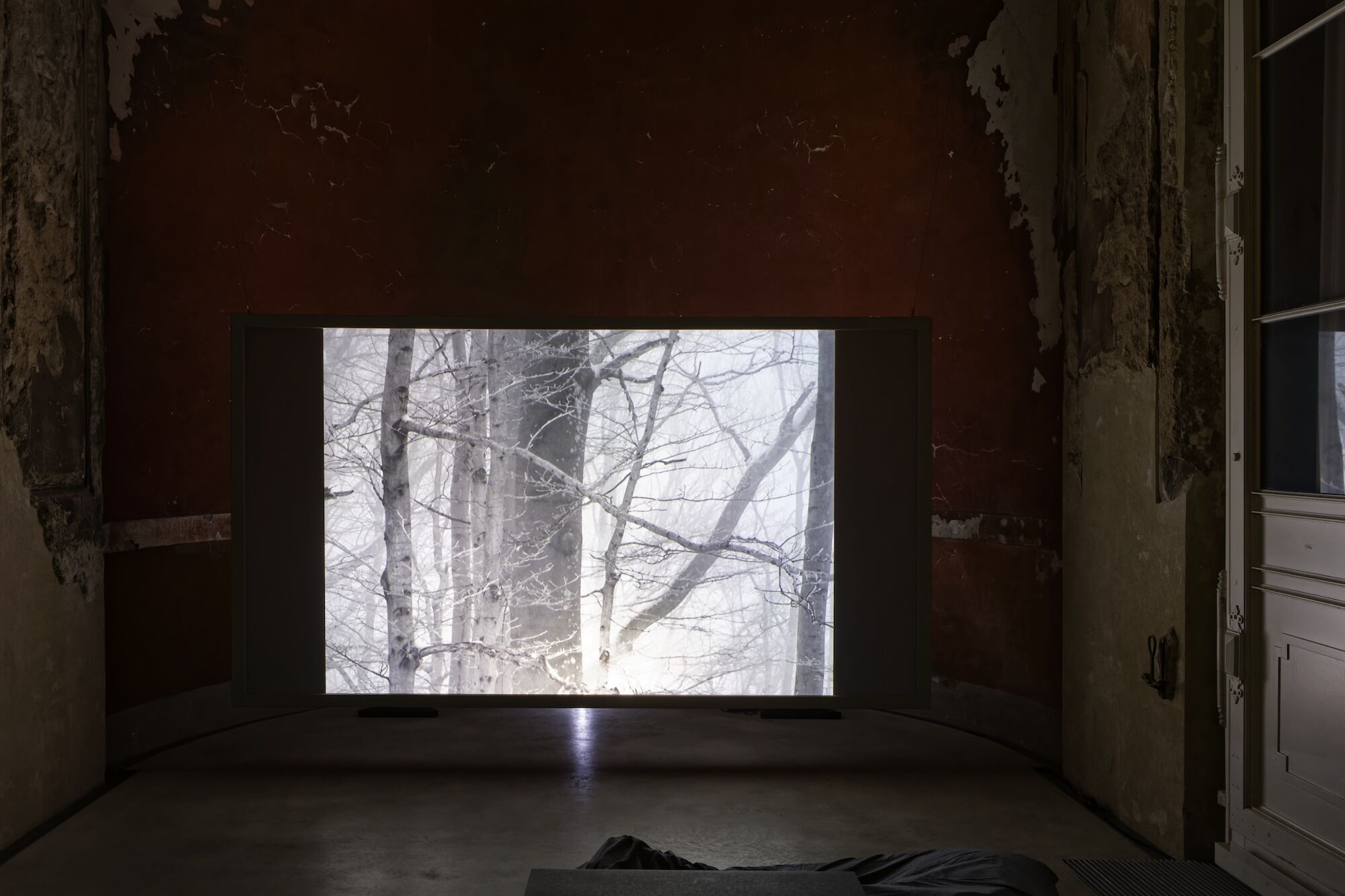 Ausstellungsansicht, Videoraum