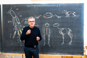 Präsentation von Prof. Henning Haupt