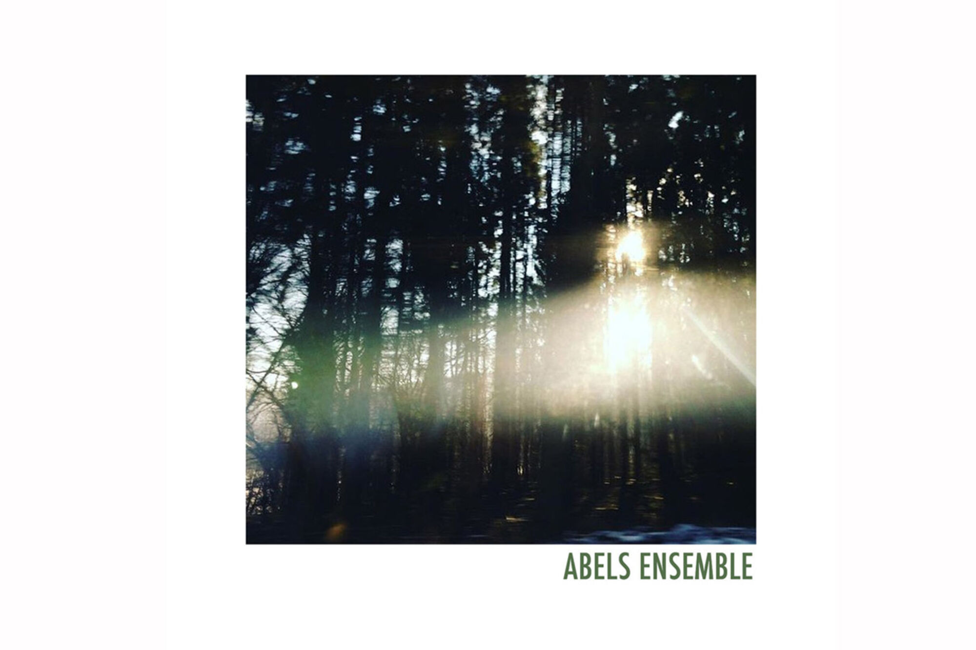 Wald im Sonnenlicht auf einem CD-Cover.