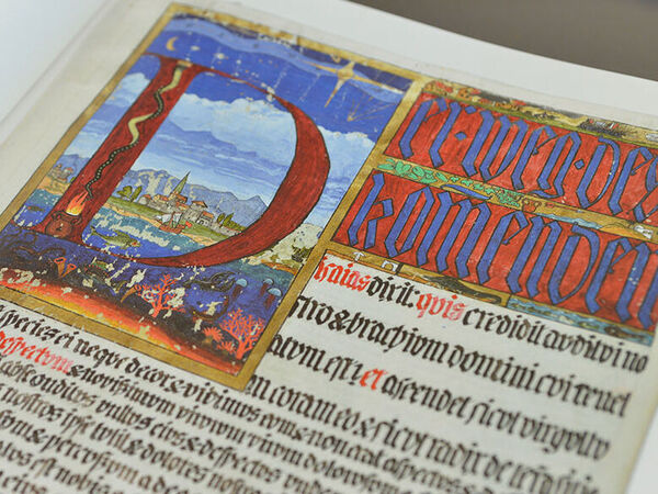 Detail C.G. Jung: The red book