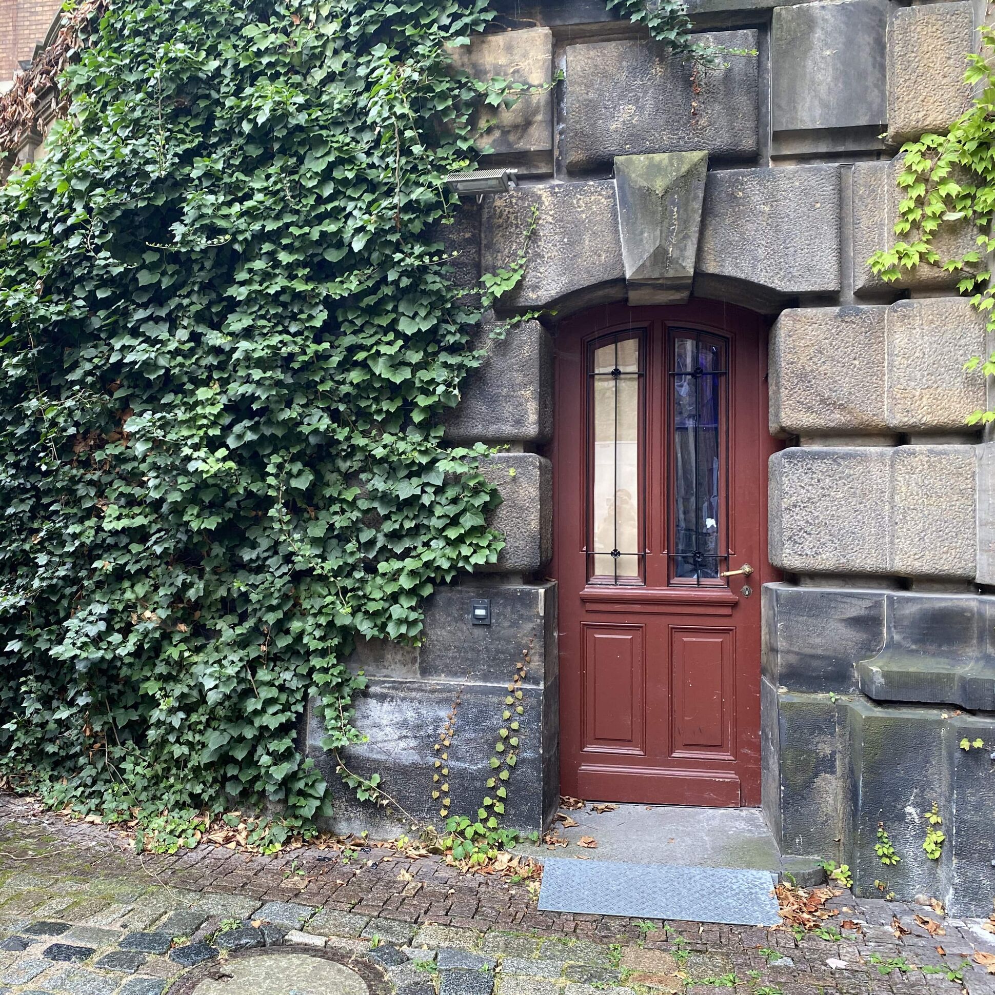 kleine Rampe zum Tonstudio und Keller, braune Tür, efeubewachsen