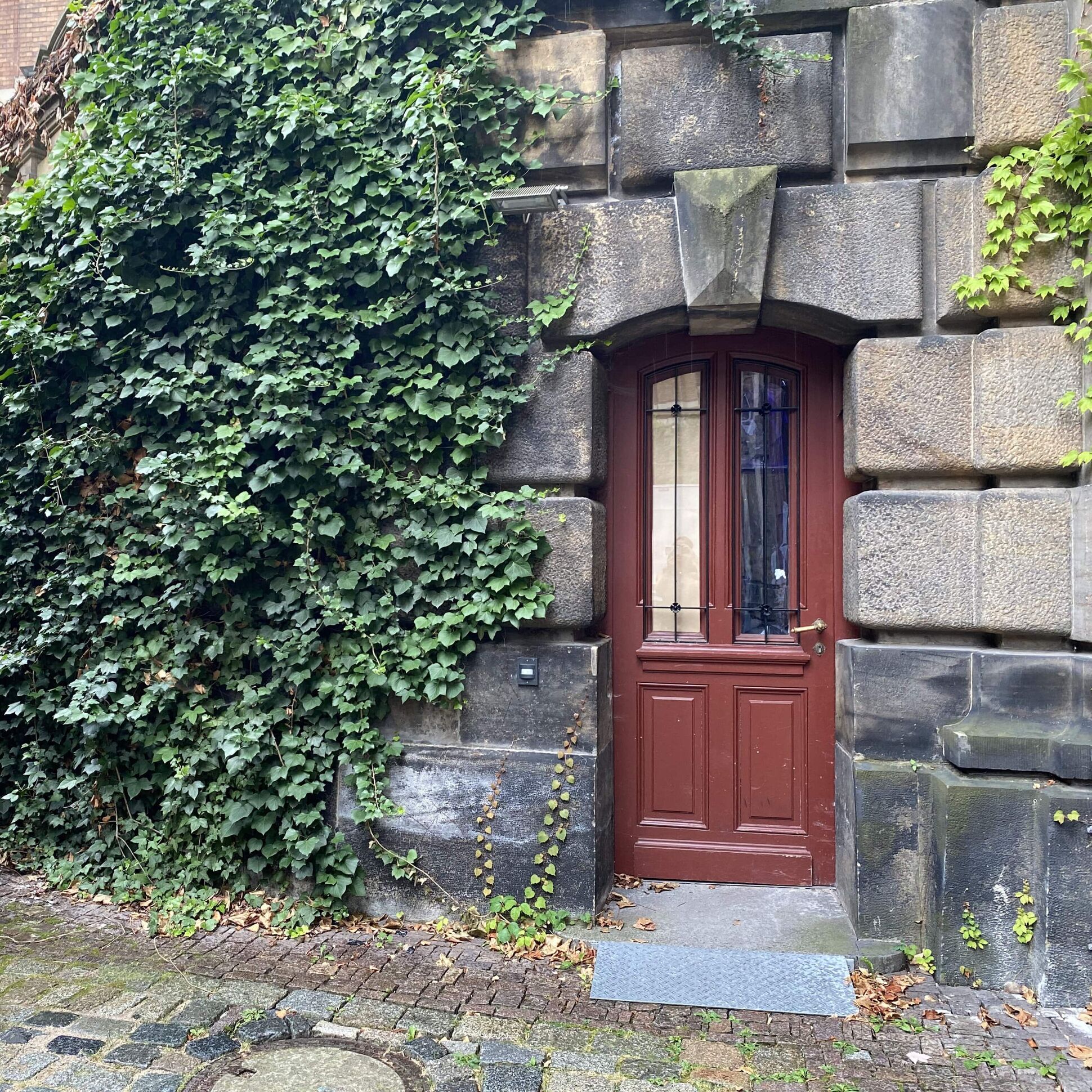 kleine Rampe zum Tonstudio und Keller, braune Tür, efeubewachsen
