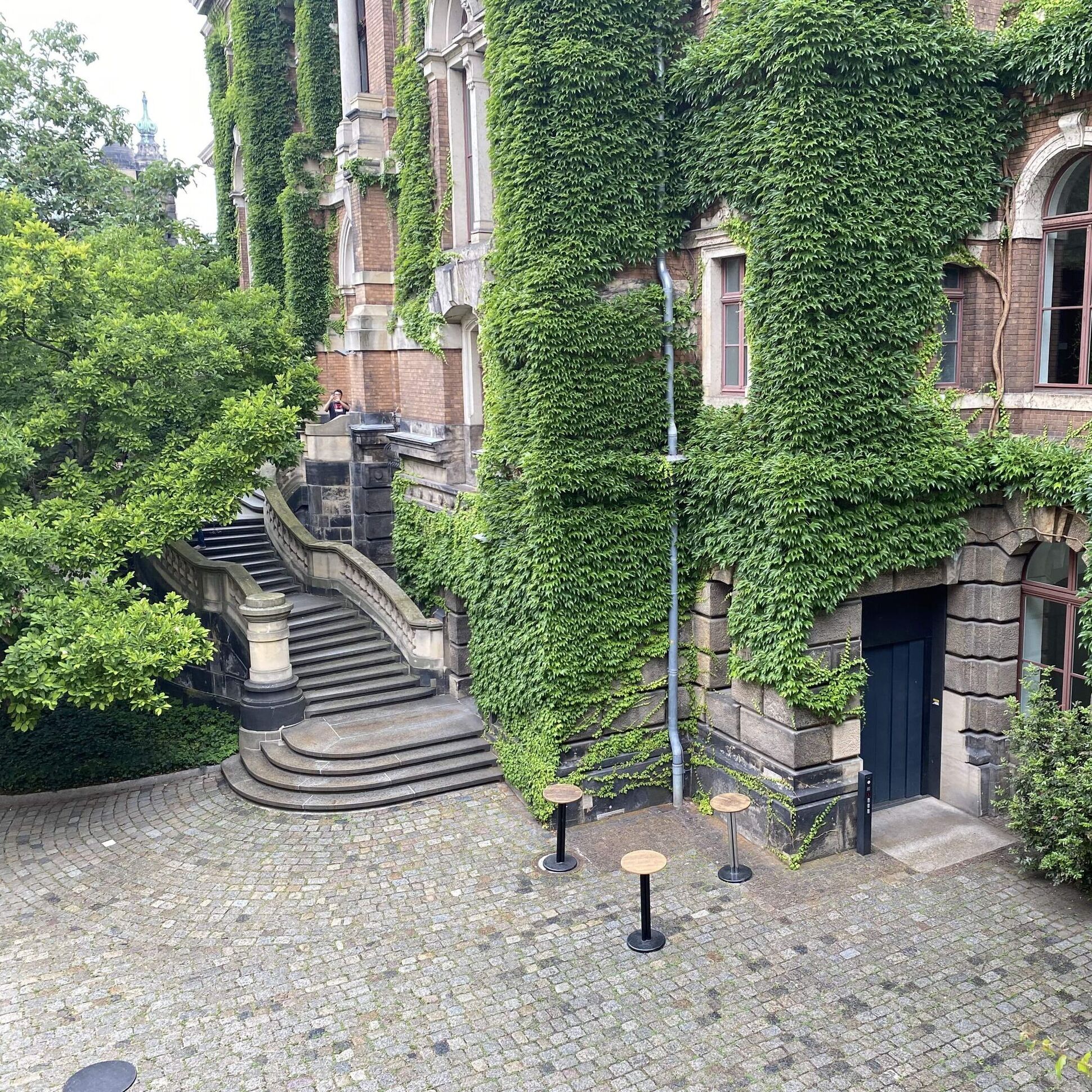 Innenhof Brühl, efeubewachsen und grün mit Blick auf den Fahrstuhl