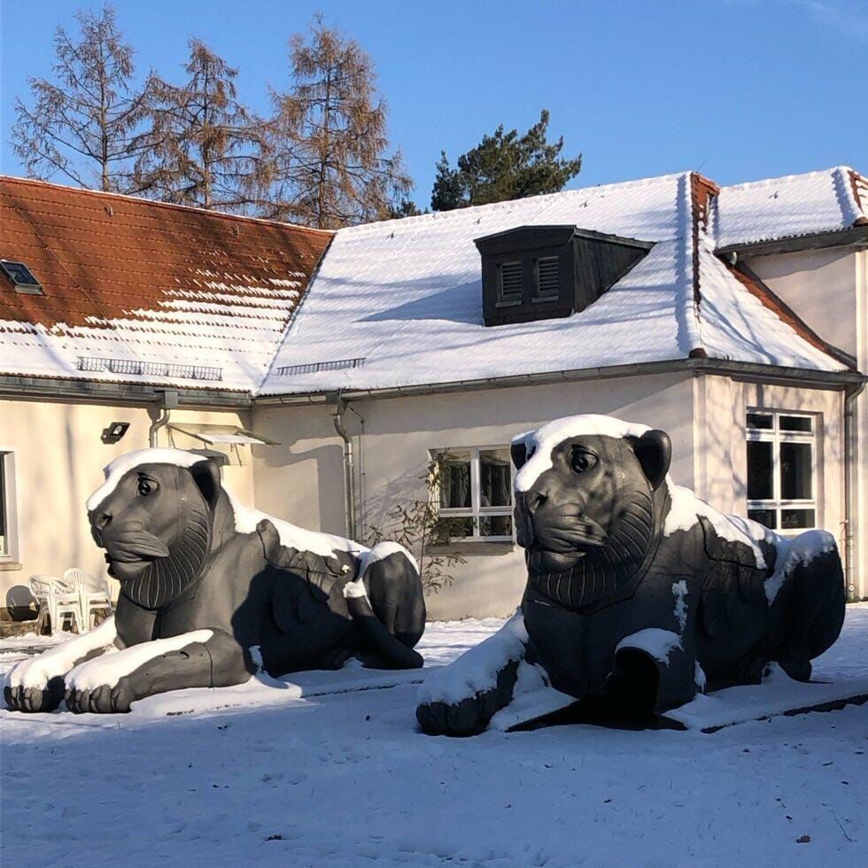 Zwei Löwen im Schnee, Pfotenhauerstraße, fotografiert von Isabell Meldner