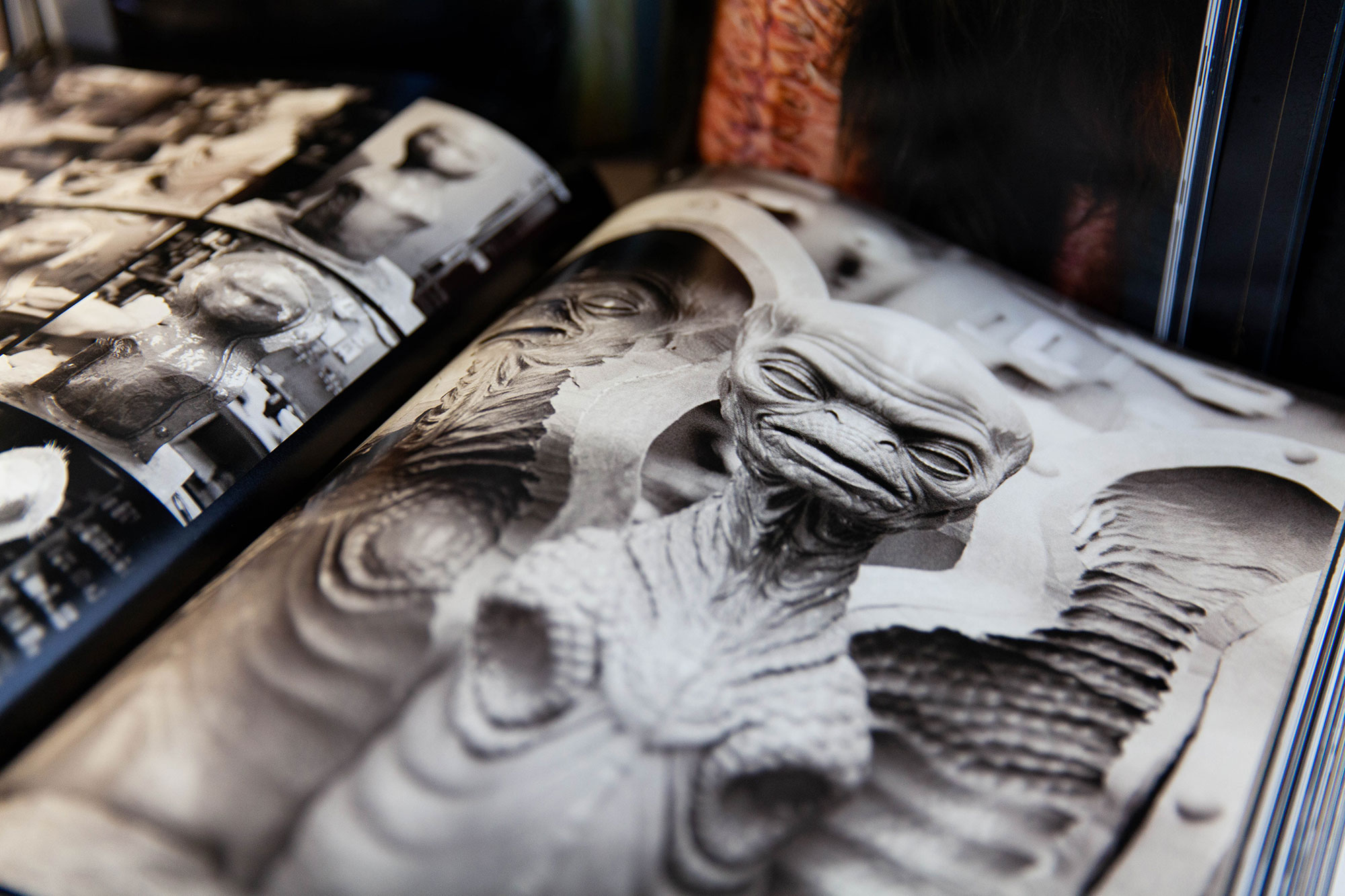Opened up book. The pages shows a large format image.