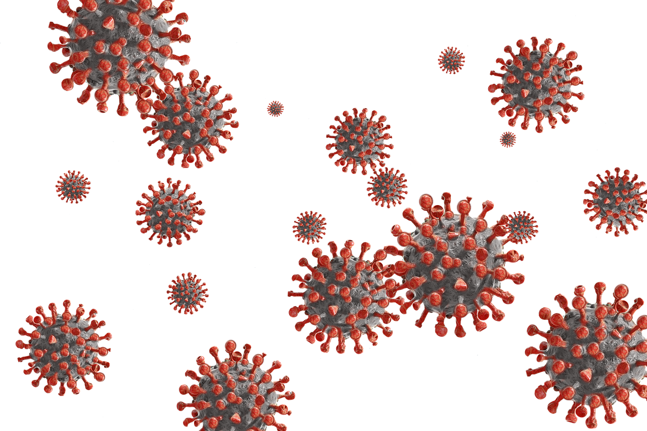 Coronavirus SARS-CoV-2