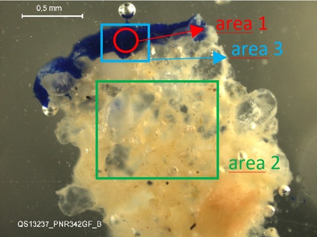 [Translate to Englisch:] mikroskopisches Bild im Auflicht mit Bereichen von Analysen von Wandputz