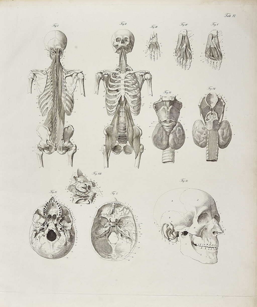 BurkhardWilhelmSeiler1850web.jpg