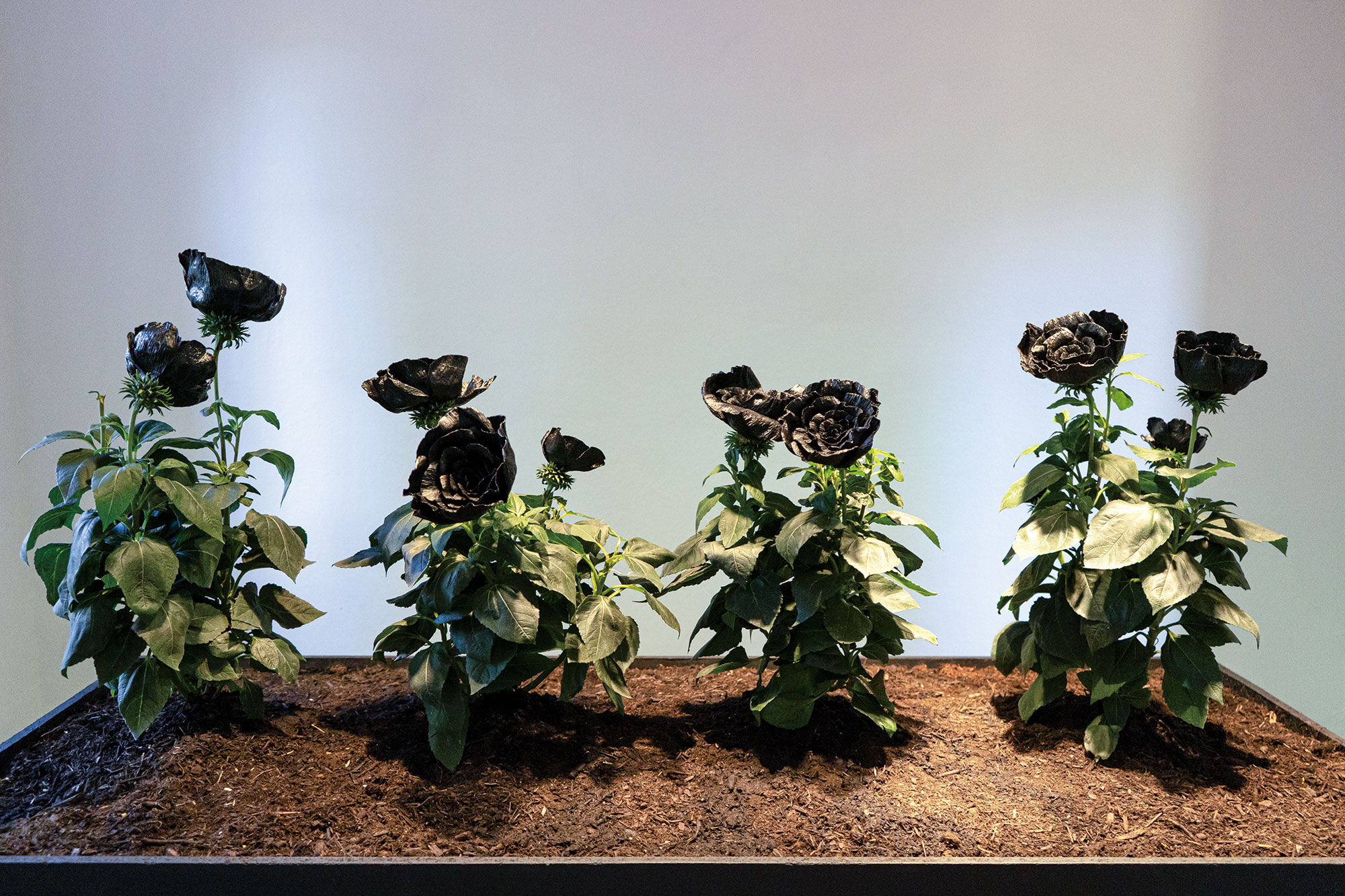 Ausstellungsansicht, Blumenskulptur