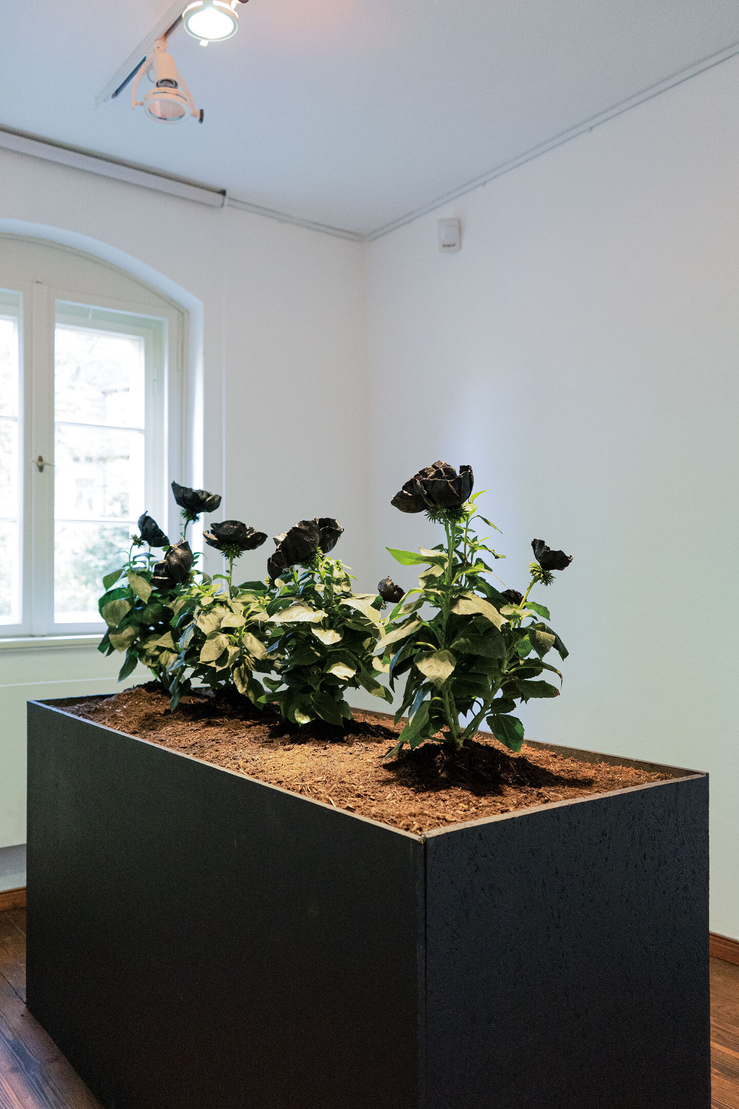 Ausstellungsansicht, Blumenskulptur