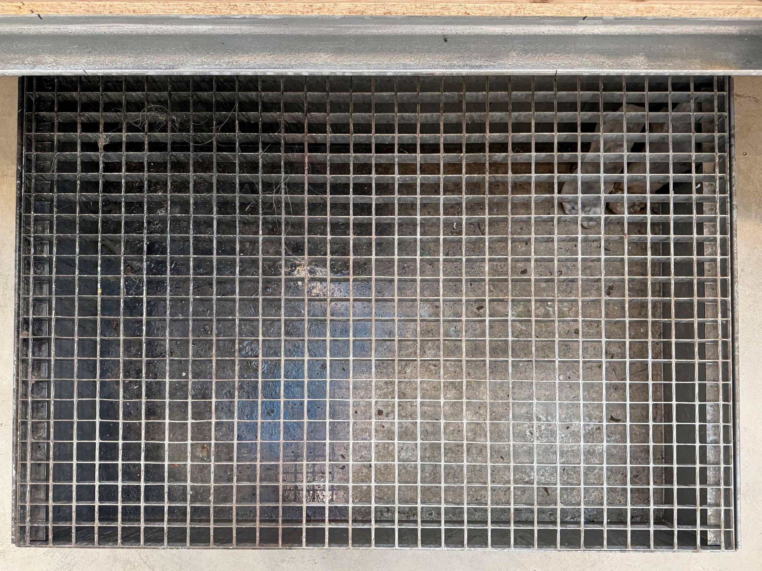 Gitter, Detail Arbeit Wilhelm Mundt