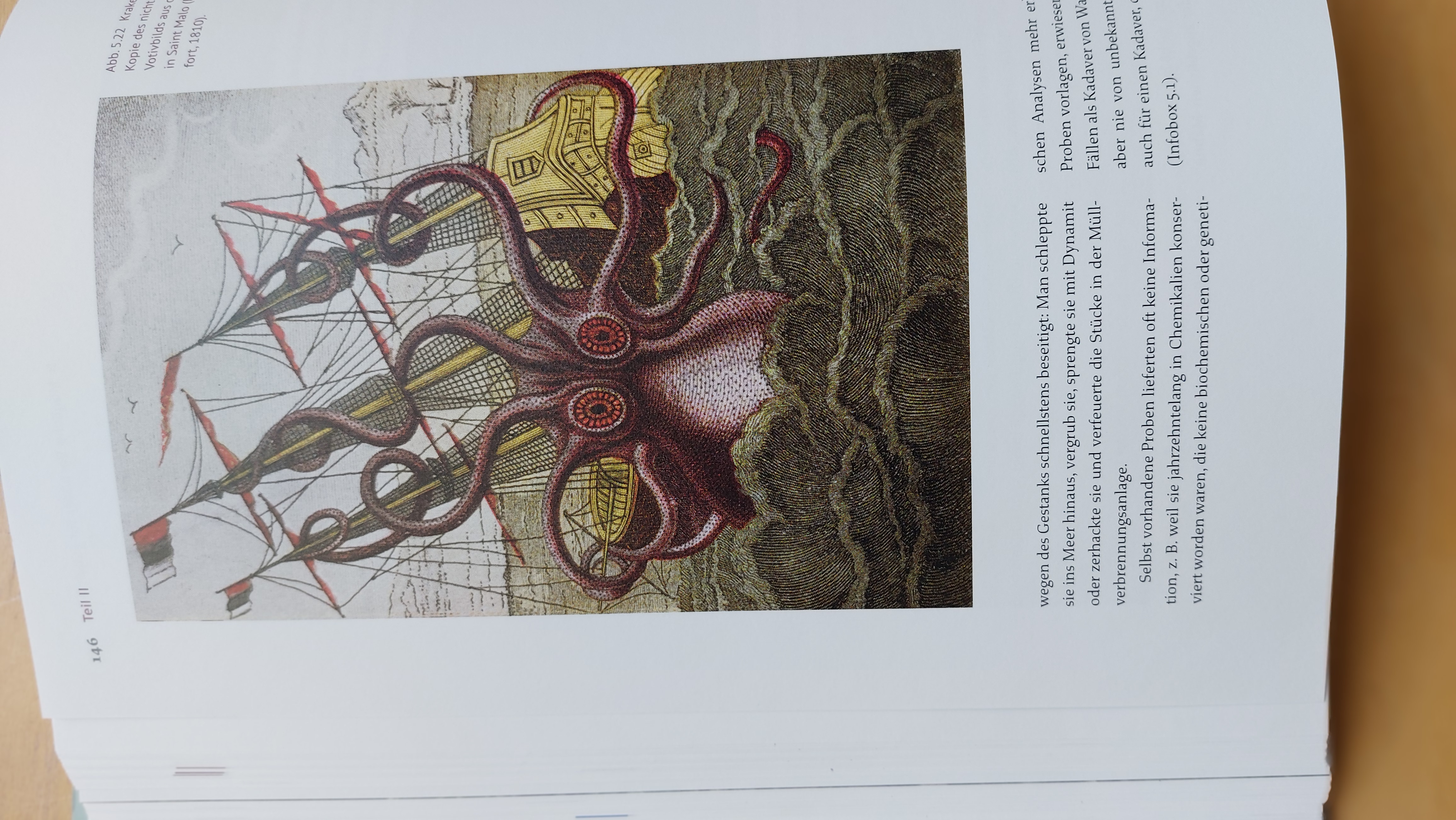 Fotografie einer Buchseite mit der Zeichnung eines Riesenkraken, der sich um ein Segelschiff windet.