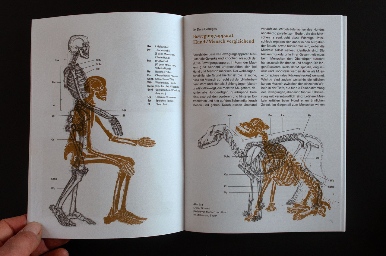 Aufgeschlagenes Buch mit anatomischen Zeichnungen