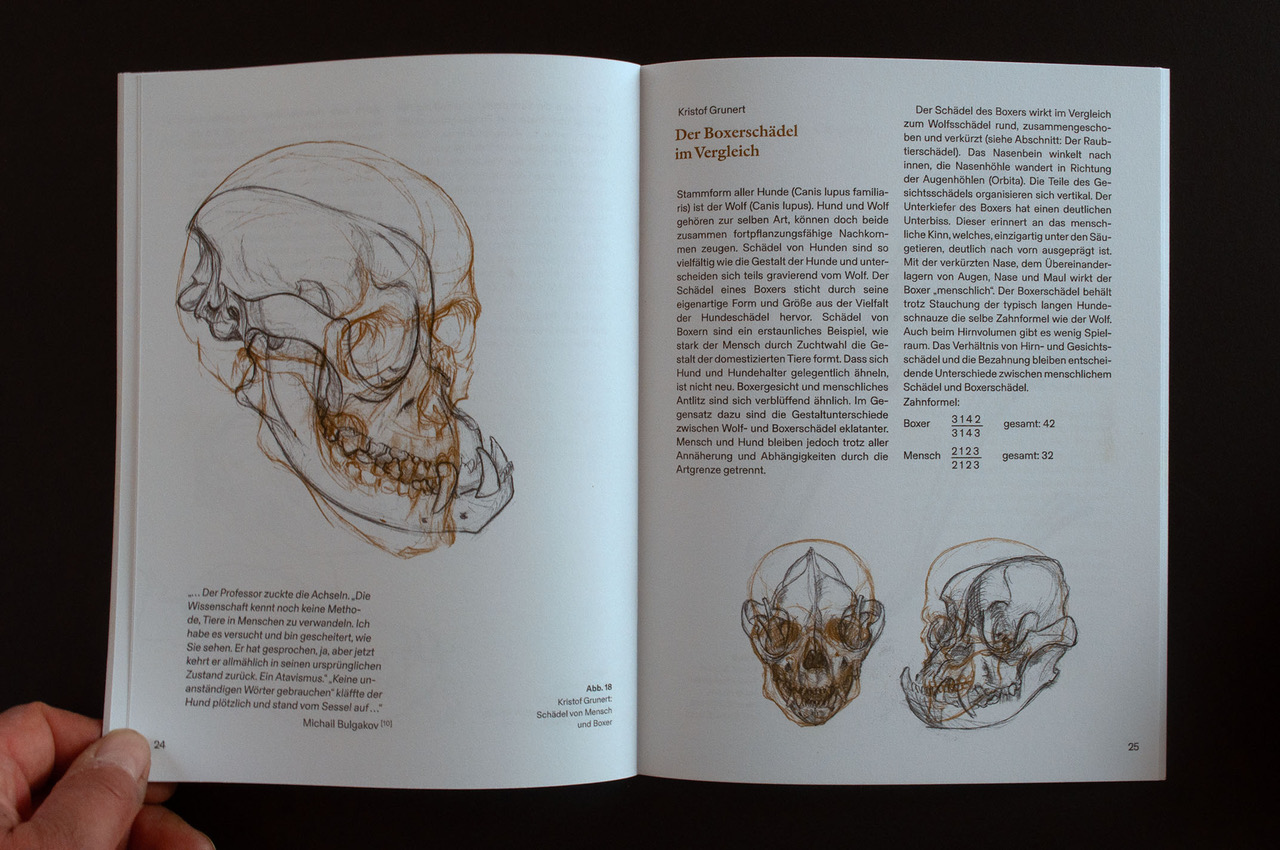 Aufgeschlagenes Buch mit anatomischen Zeichnungen