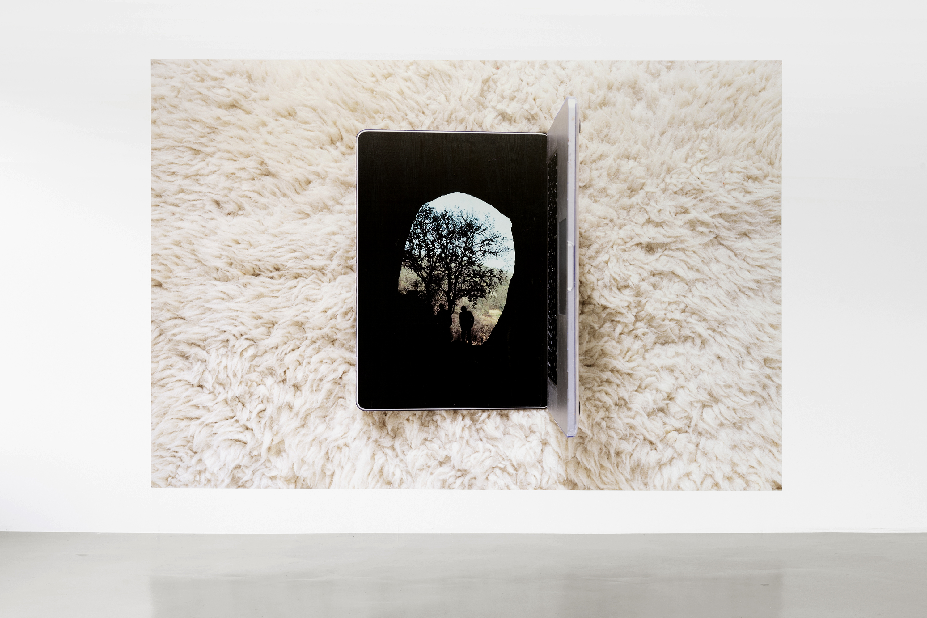 Ausstellungsansicht, Wandinstallation mit großformatigem Fotodrucj´k