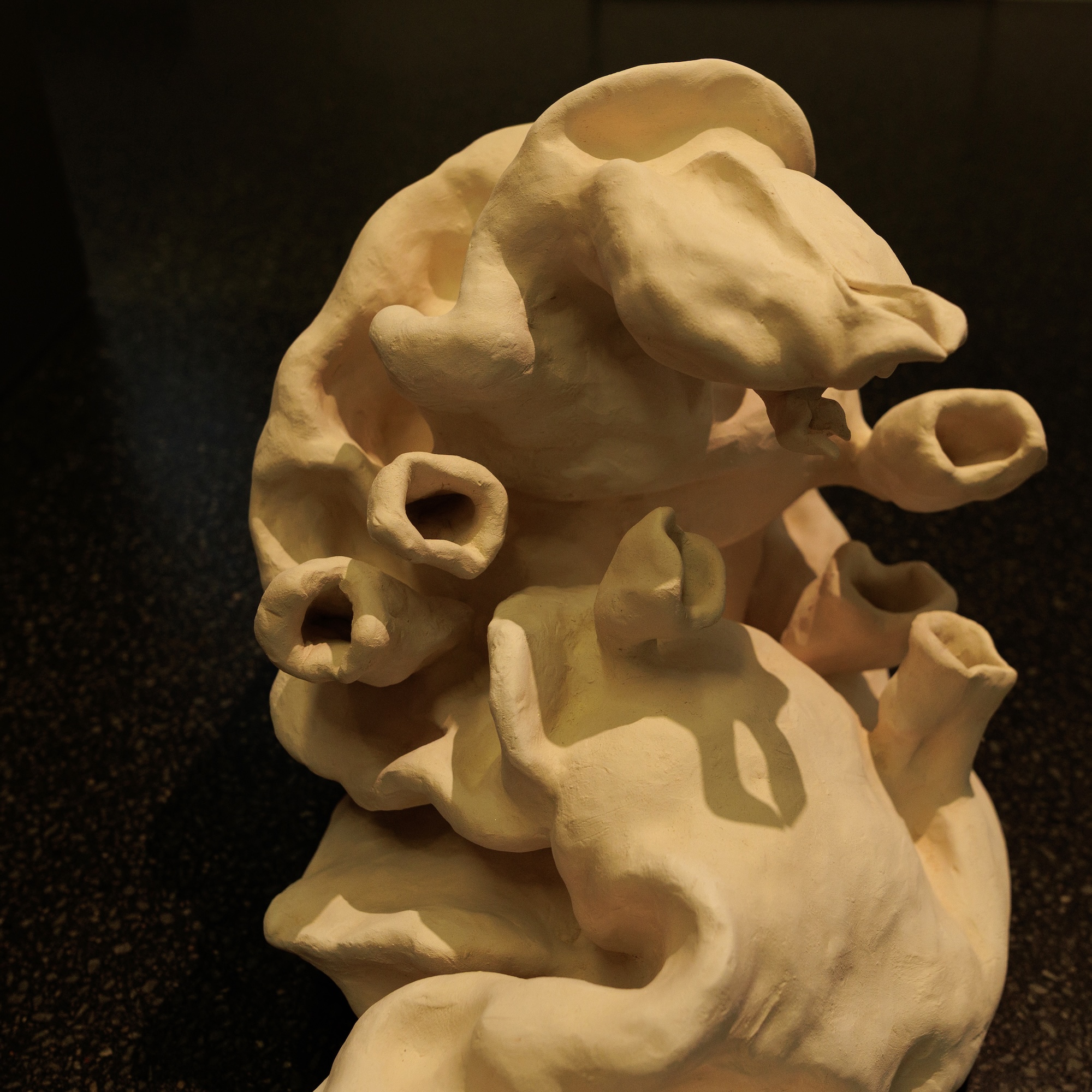 Ausstellungsansicht Ausstellungsansicht