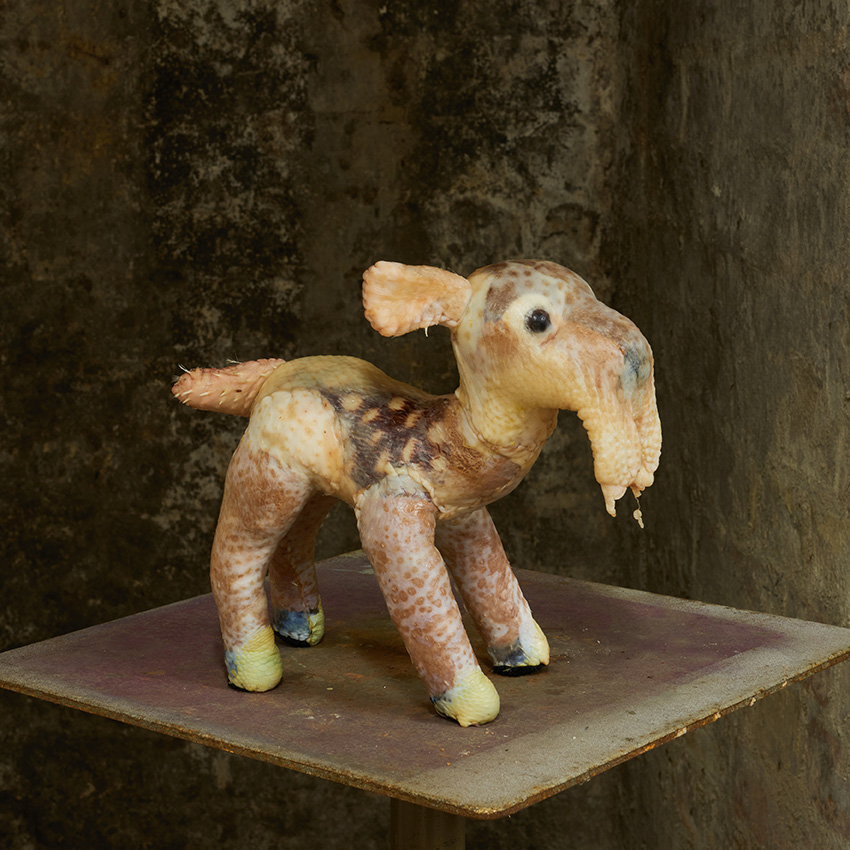 Short_Term_You_don__t_play_with_food_Manuel_Frolik_Pfote_Fotos@Sven_Claus_DSC_3152__1_.jpg